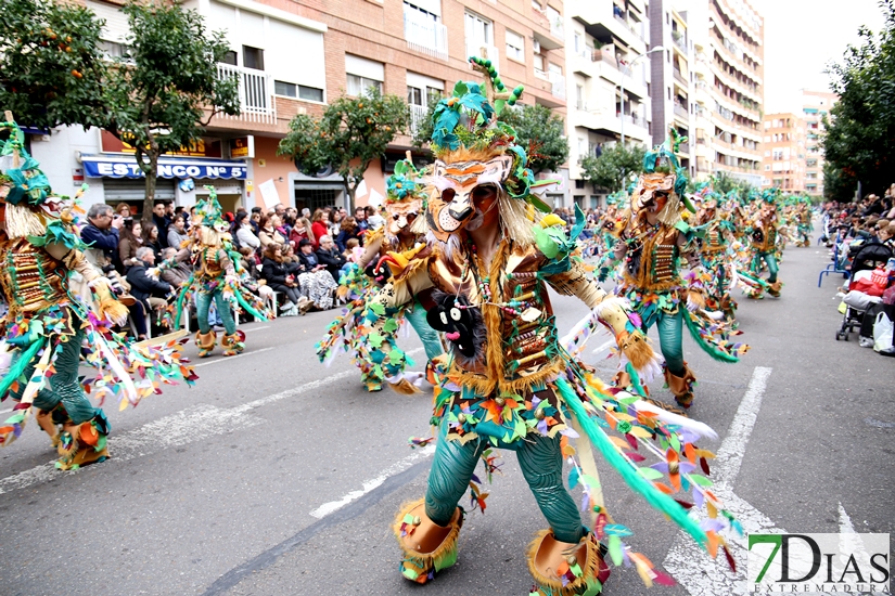 Imágenes del Desfile de Comparsas de Badajoz 2018, parte 1/2