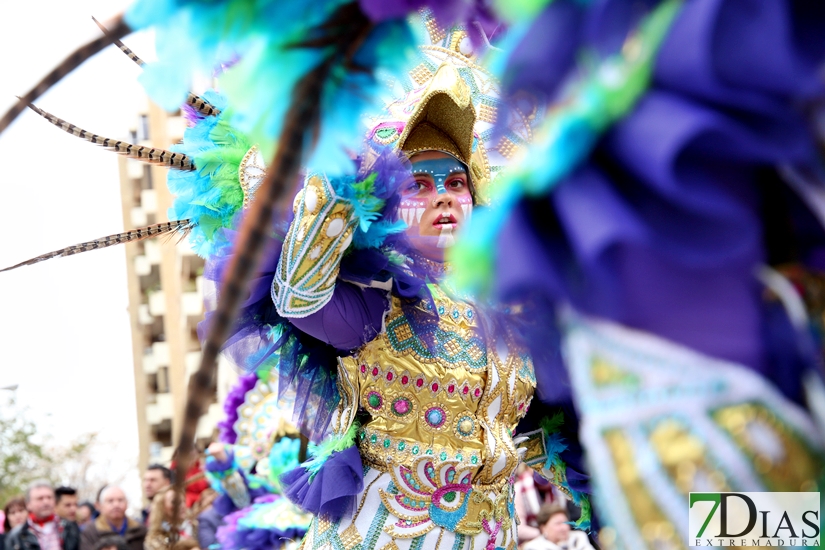 Imágenes del Desfile de Comparsas de Badajoz 2018, parte 1/2