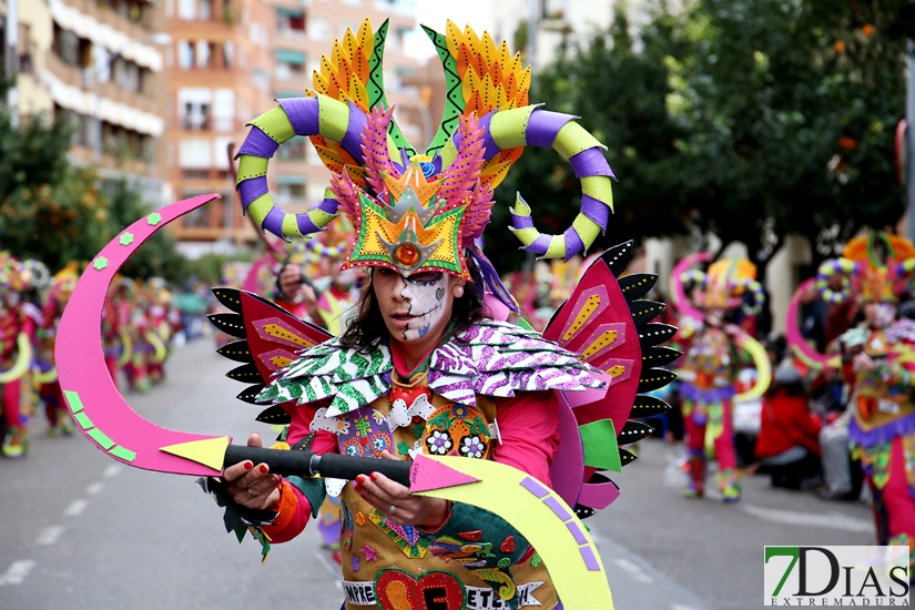 Imágenes del Desfile de Comparsas de Badajoz 2018, parte 2/2