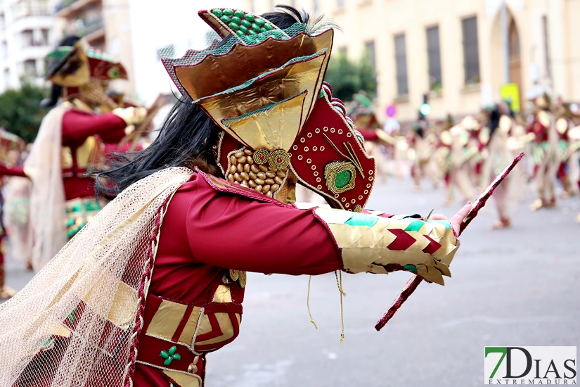 Imágenes del Desfile de Comparsas de Badajoz 2018, parte 2/2