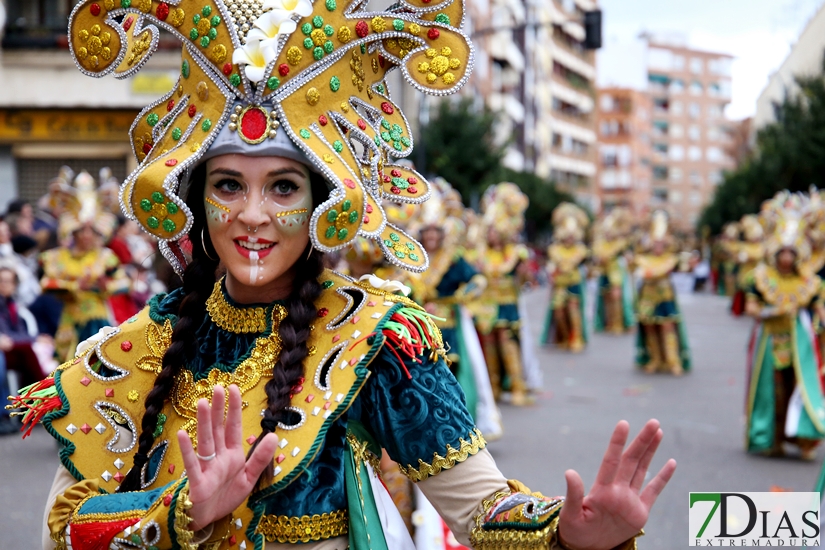 Imágenes del Desfile de Comparsas de Badajoz 2018, parte 2/2