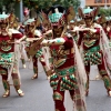 Imágenes del Desfile de Comparsas de Badajoz 2018, parte 2/2