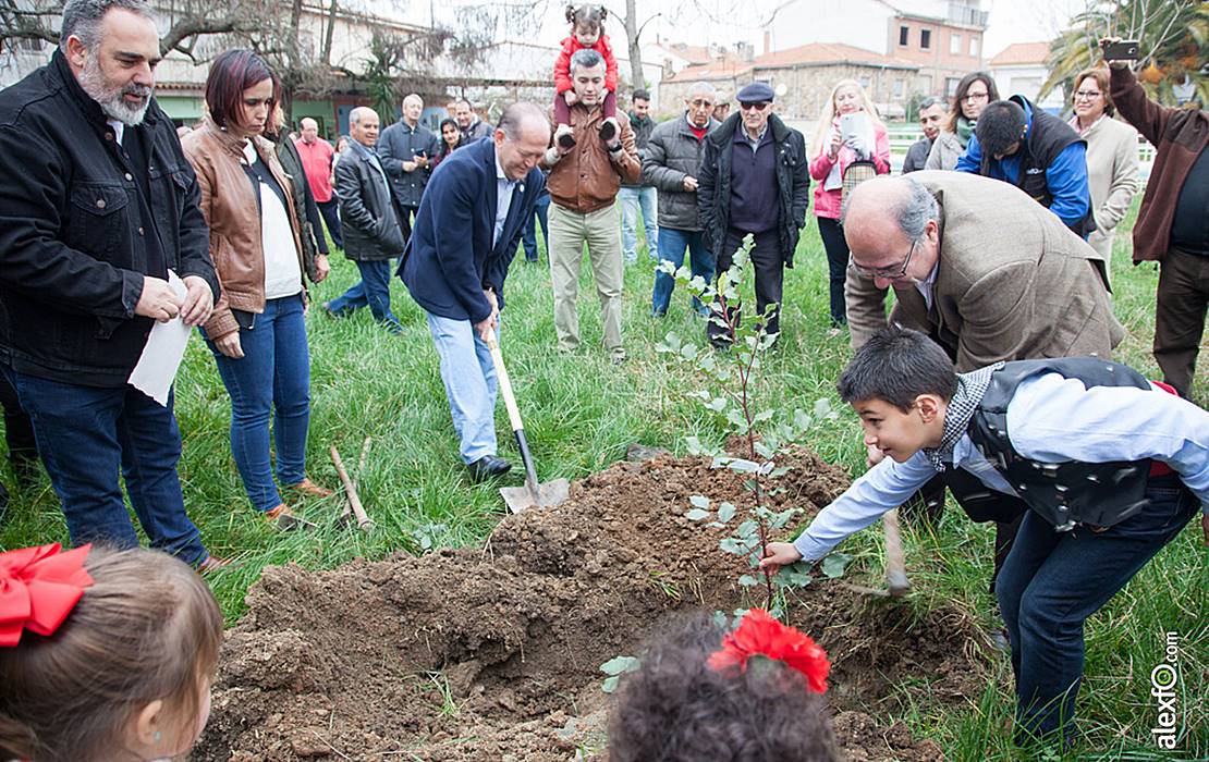 Villanueva de la Sierra se prepara para celebrar la Fiesta del Árbol