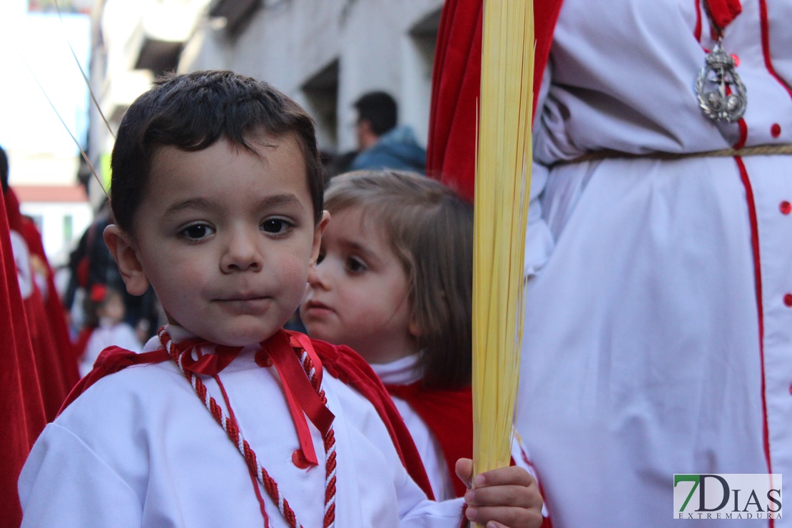 La Burrita da paso a la Semana Santa de Mérida