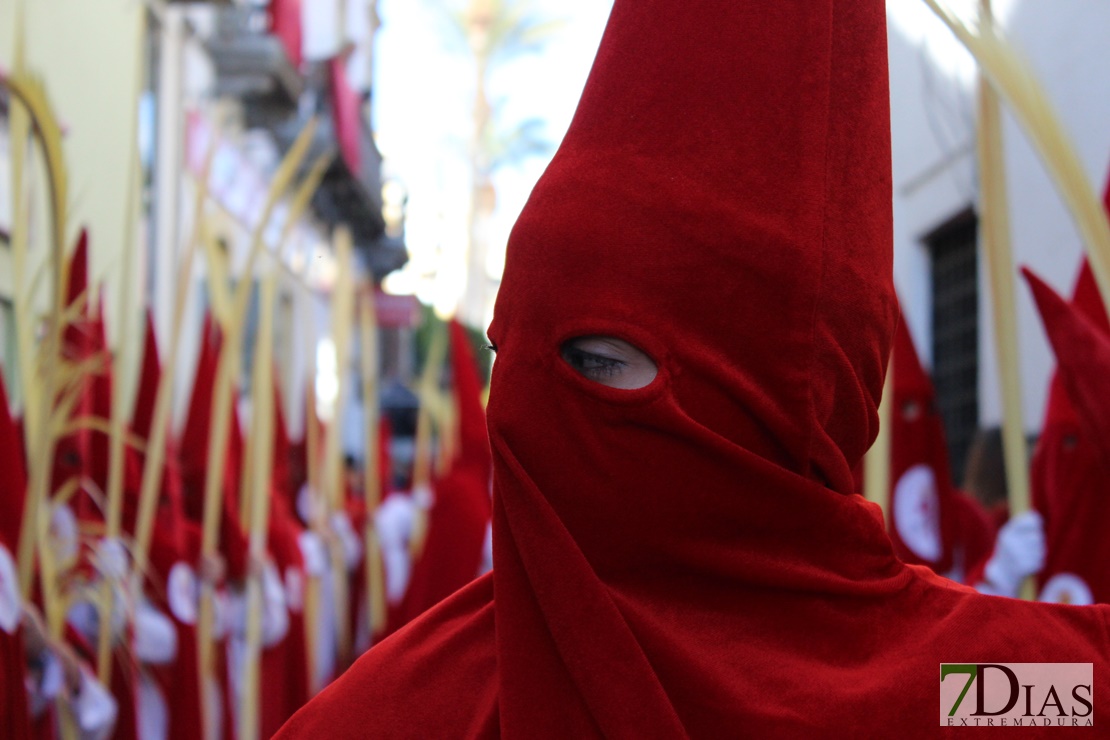 La Burrita da paso a la Semana Santa de Mérida