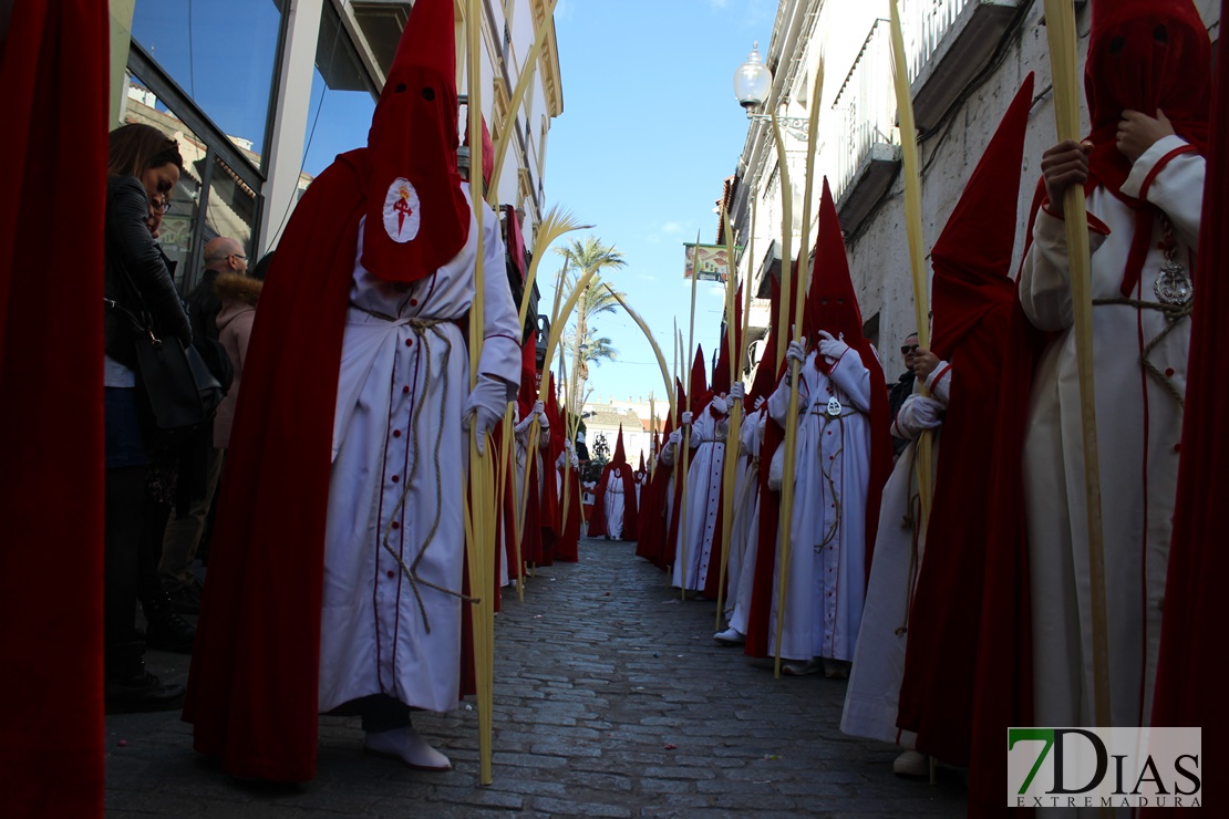 La Burrita da paso a la Semana Santa de Mérida