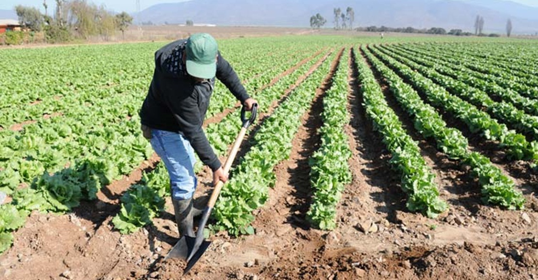 Subvenciones para financiación de préstamos de los agricultores