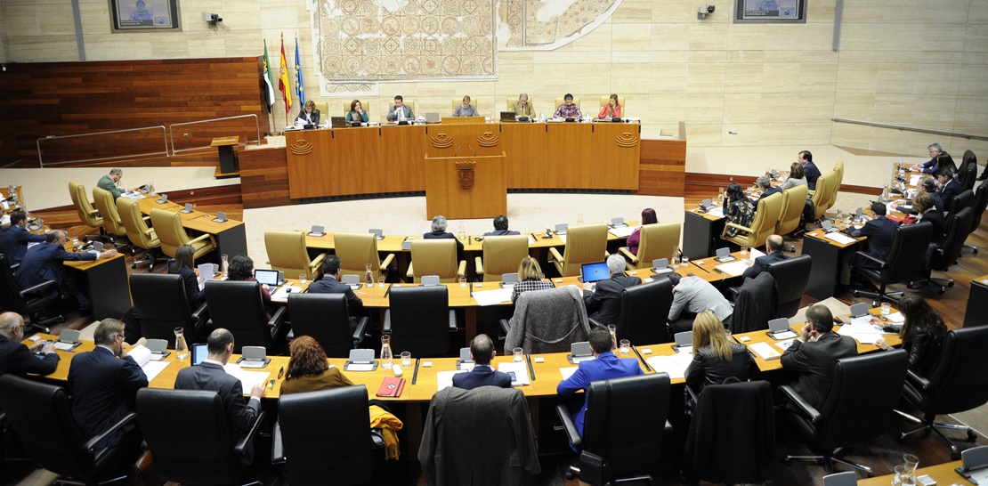 Exigen a la Junta un plan para evitar el colapso de urgencias en los picos de la gripe