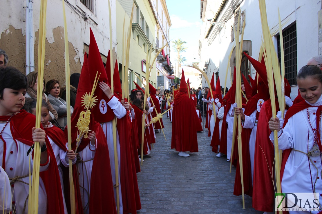 La Burrita da paso a la Semana Santa de Mérida