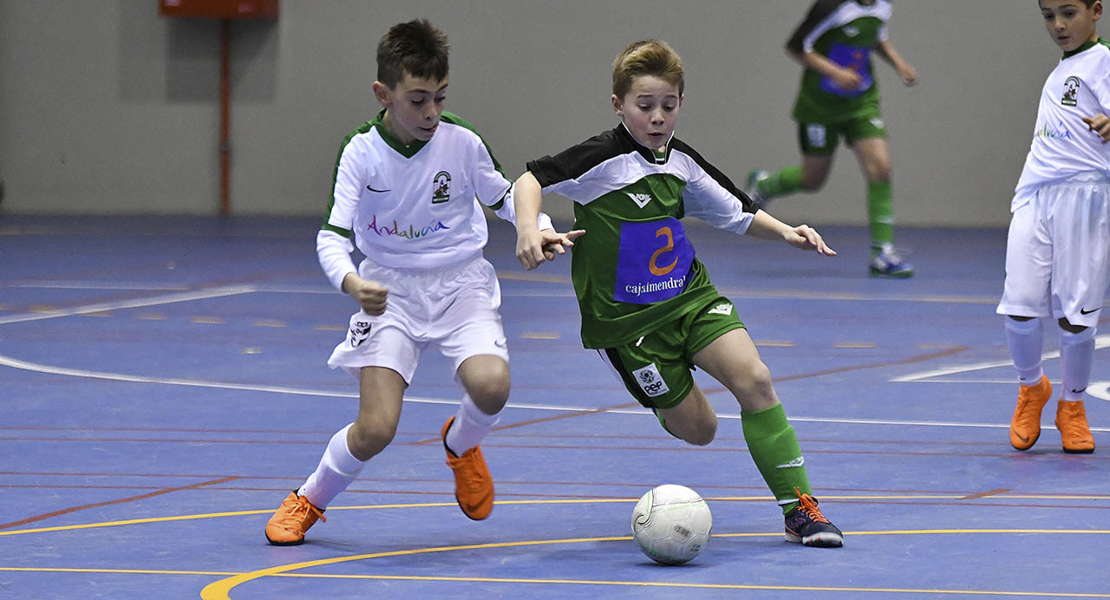 Imágenes del Campeonato de España de Futsal Benjamín de Montijo II