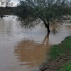 Se inundan varias carreteras y poblados entre Badajoz y Cáceres