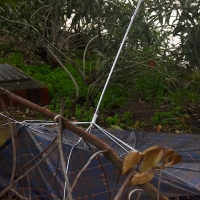 El viento sopla fuerte en el sur de Badajoz