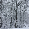 La nieve visita el norte de Extremadura por encima de 800 metros