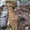 La pista que lleva hasta el embalse de Acebo, un peligro