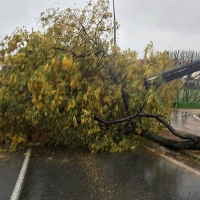 Aviso amarillo por fuertes vientos en el norte extremeño para este martes