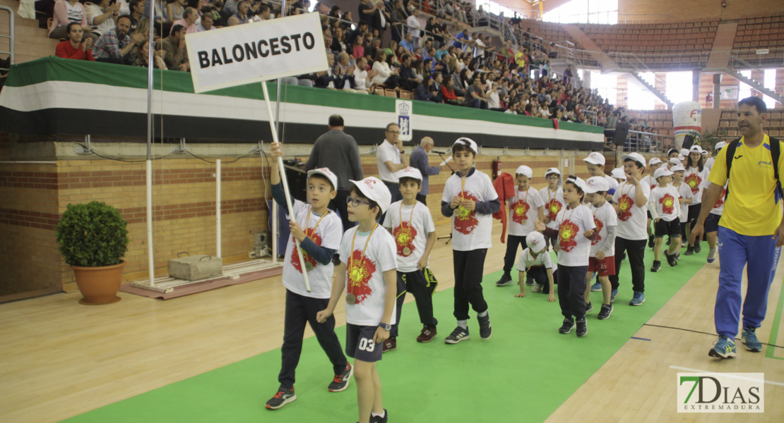 Imágenes de la Clausura de las XXXI Escuelas Deportivas Municipales