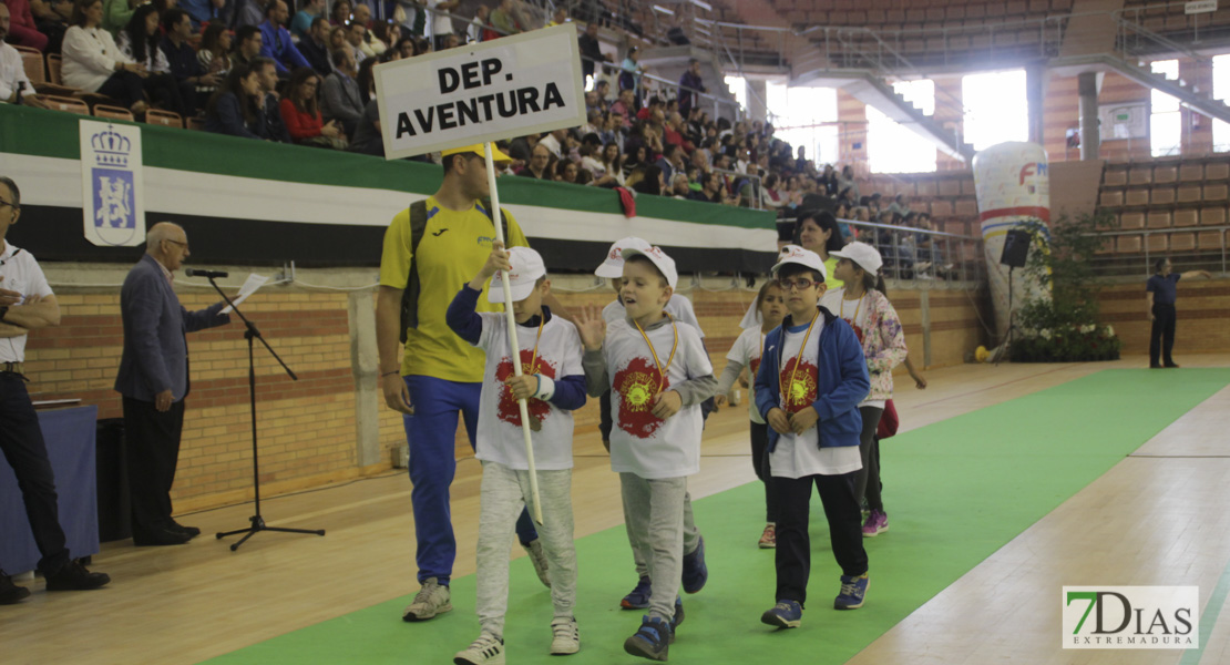 Imágenes de la Clausura de las XXXI Escuelas Deportivas Municipales