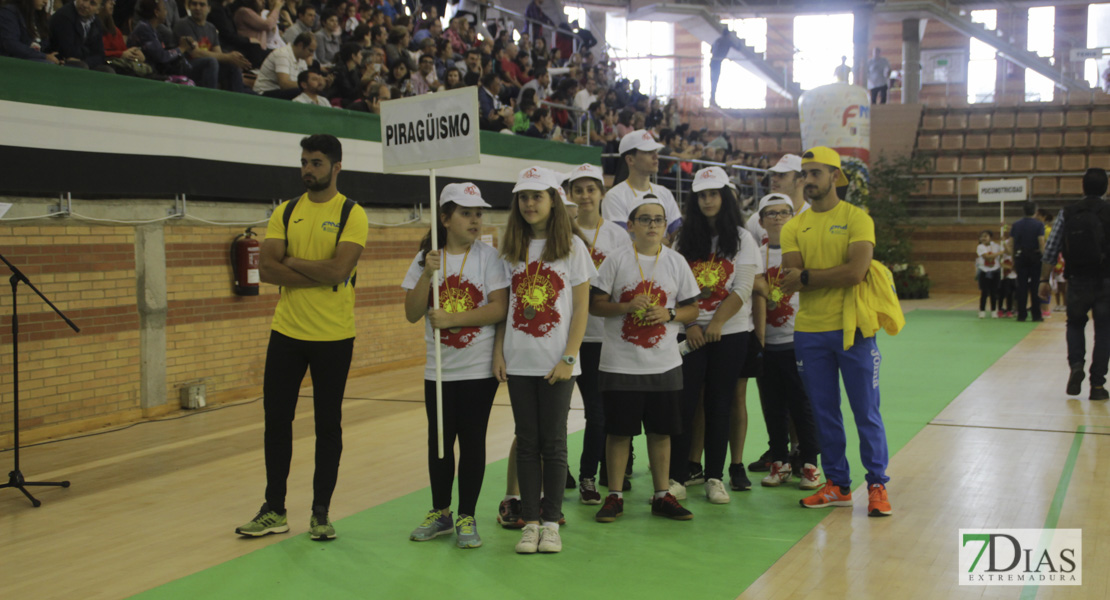 Imágenes de la Clausura de las XXXI Escuelas Deportivas Municipales