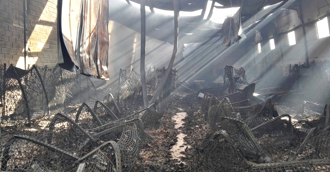 Imágenes del incendio que ha calcinado la nave de empresa extremeña