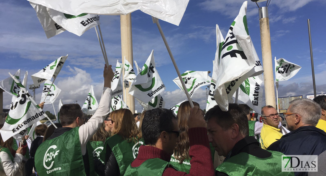 Los trabajadores de la FMD se manifiestan por sus derechos