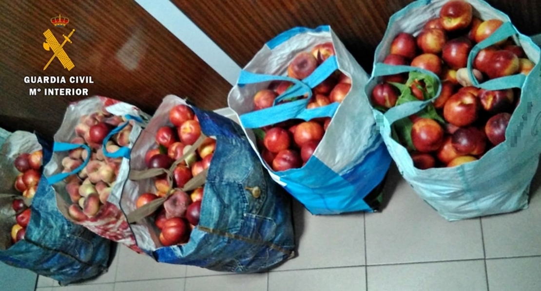 Dos vecinos de Badajoz, detenidos con 100 kilogramos de fruta robada