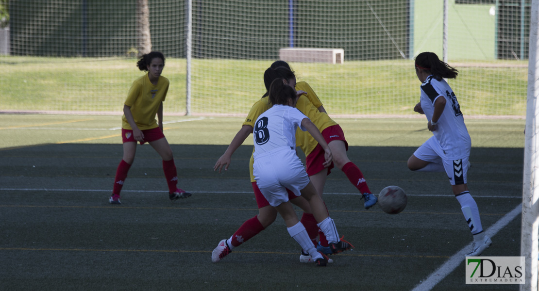 Imágenes de la Women&#39;s Cup 2018