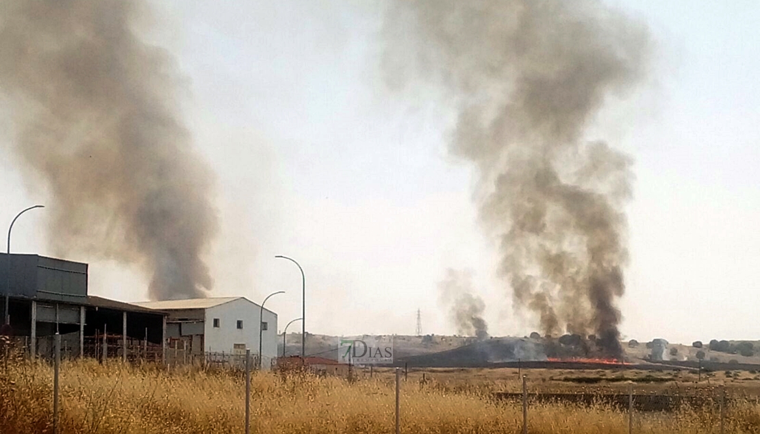 Los bomberos actúan en un incendio entre la barriada de Llera y las Vaguadas