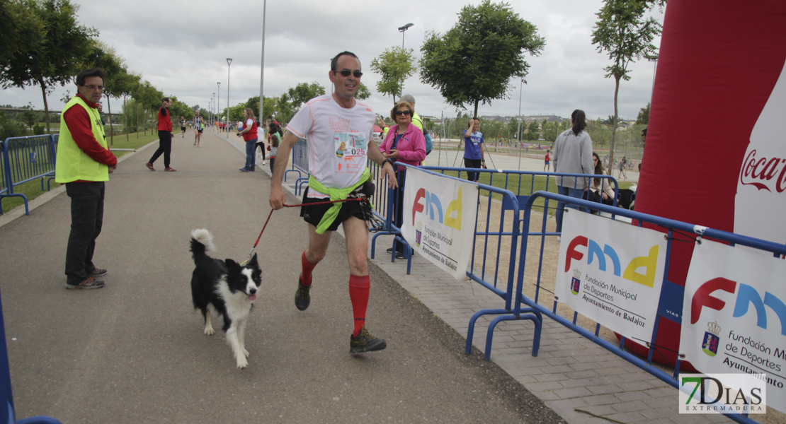 Imágenes de la Carrera contra el abuso escolar II