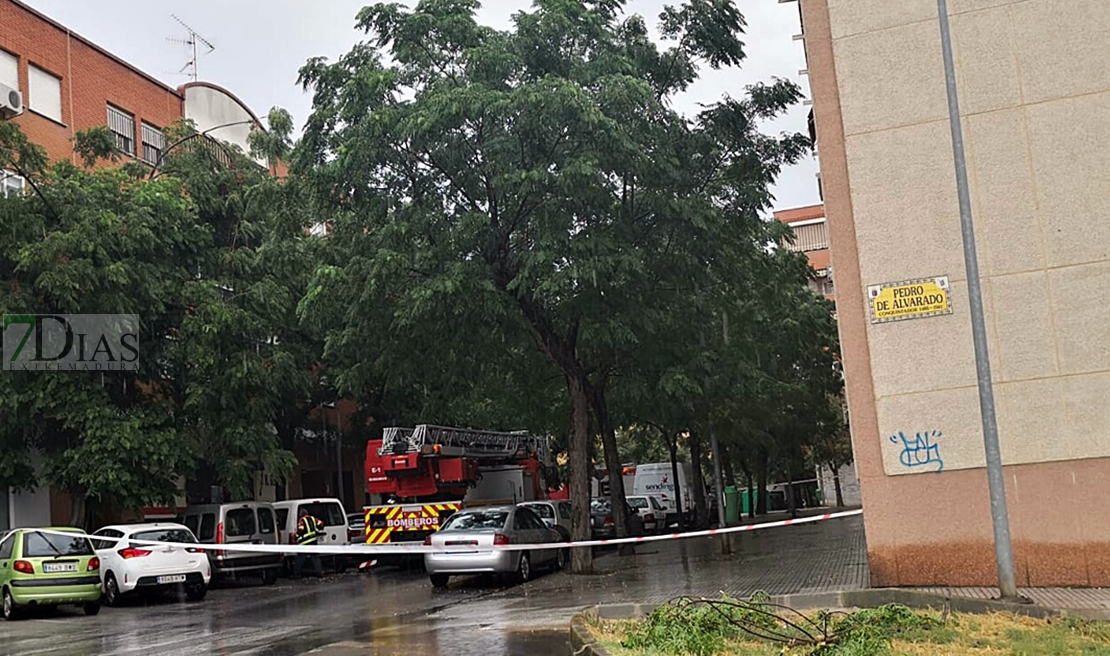 Cortada una calle de Badajoz tras la caída de un árbol