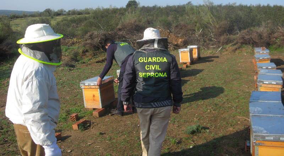 La Guardia Civil persigue y detiene a un ladrón de colmenas