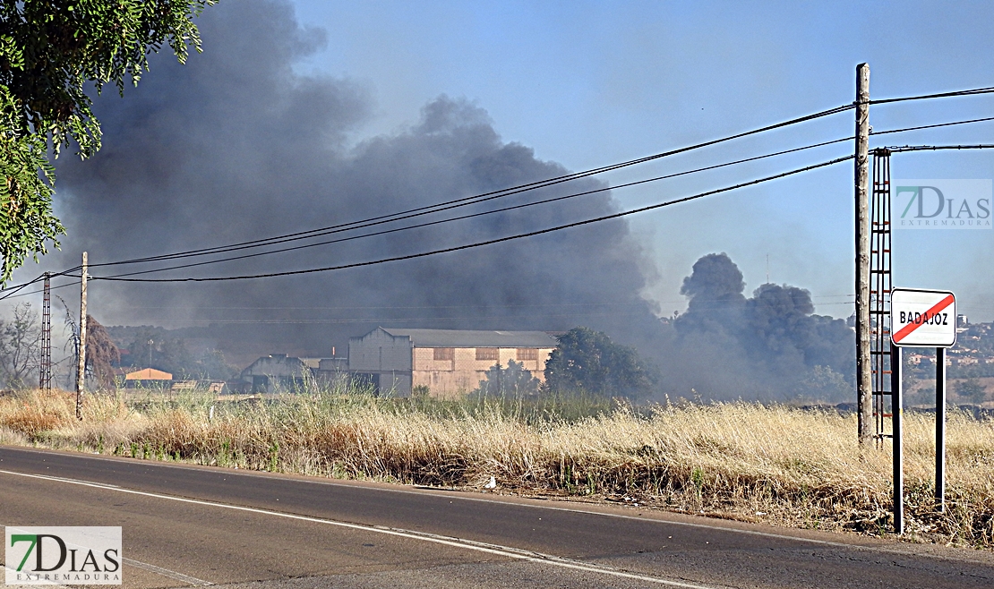 Vecinos de la Carretera de la Corte: “Un año más se ha vuelto a repetir”