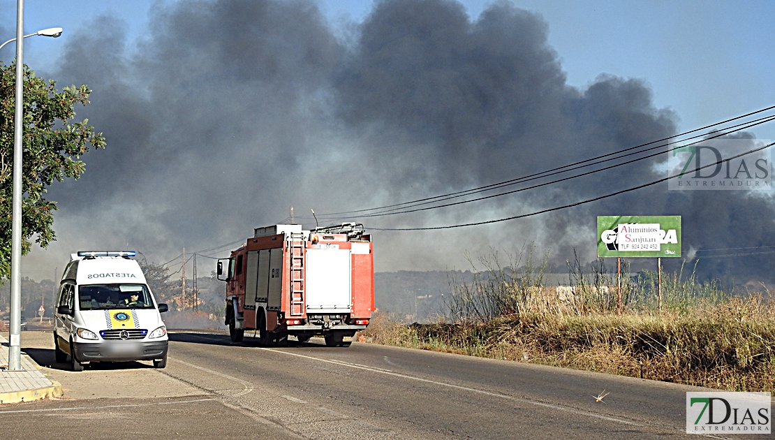 Vecinos de la Carretera de la Corte: “Un año más se ha vuelto a repetir”