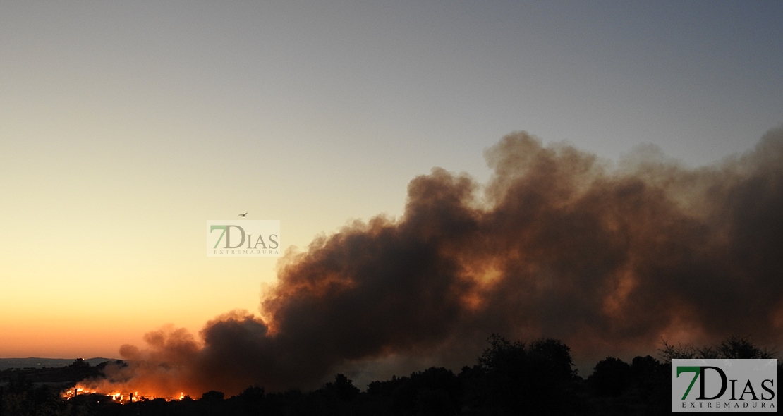 Bomberos de Badajoz y Operarios intentan sofocar un incendio en la Planta de Tratamiento (R.S.U.)