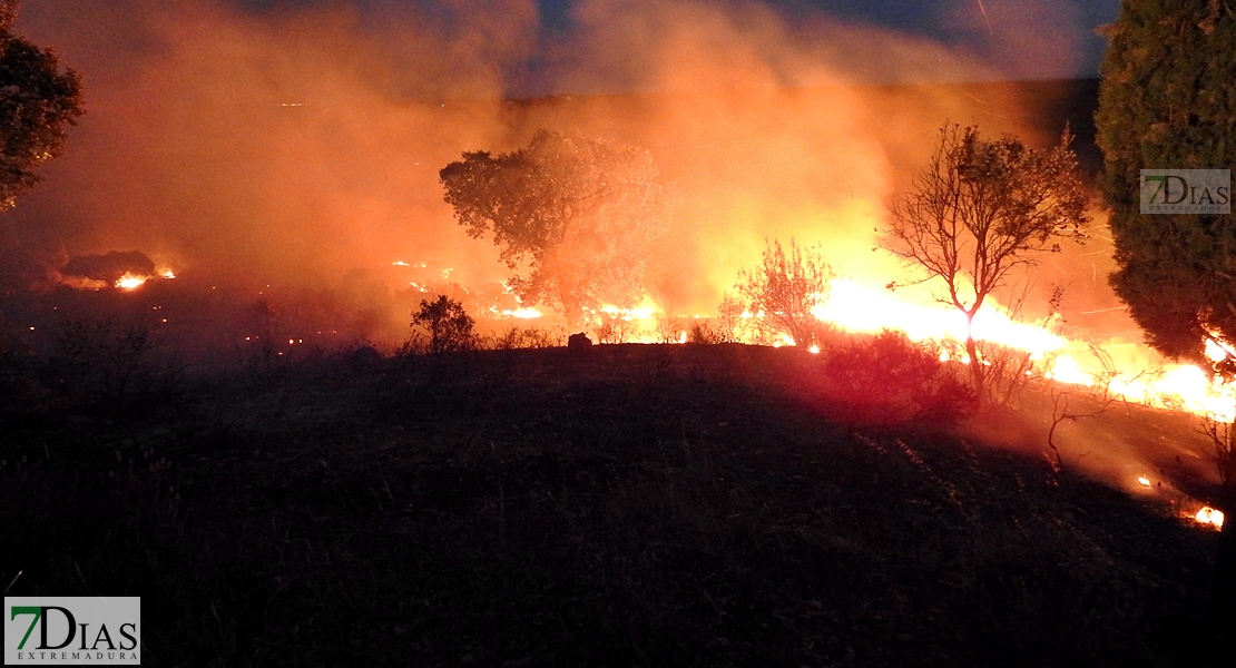 Los Bomberos de Badajoz evitan una catástrofe en San Isidro