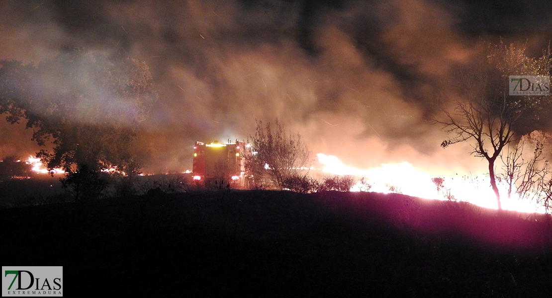 Los Bomberos de Badajoz evitan una catástrofe en San Isidro