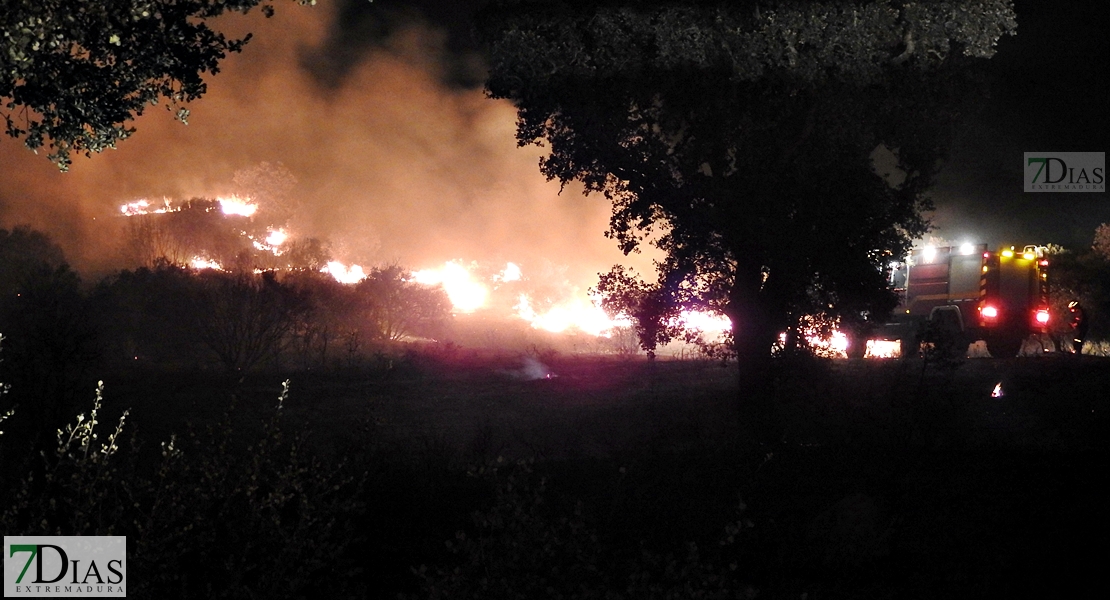 Los Bomberos de Badajoz evitan una catástrofe en San Isidro