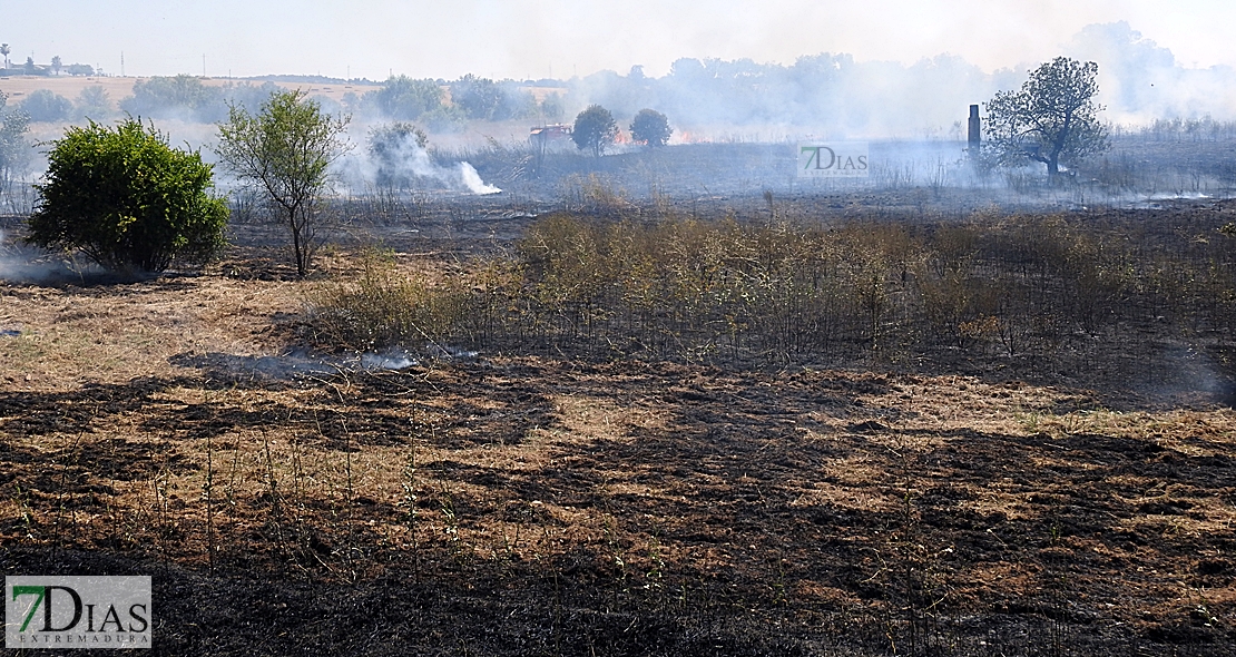 Un incendio obliga a cortar la carretera de Sevilla casi una hora