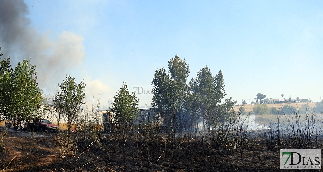 Un incendio obliga a cortar la carretera de Sevilla casi una hora