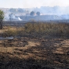 Un incendio obliga a cortar la carretera de Sevilla casi una hora