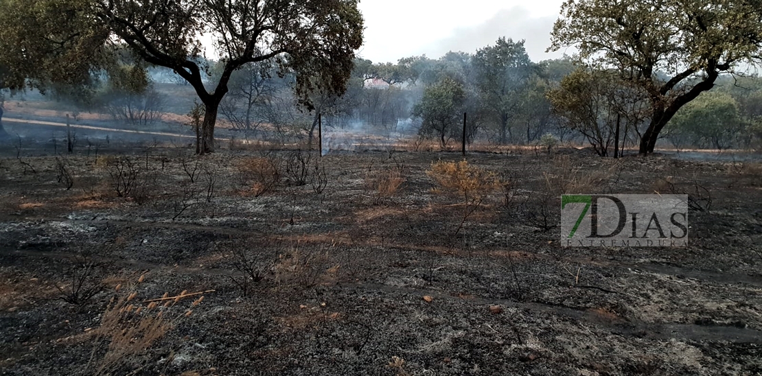 Arde el parque de San Isidro en Badajoz