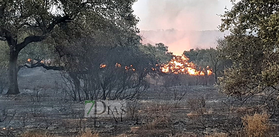 Arde el parque de San Isidro en Badajoz