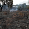 Arde el parque de San Isidro en Badajoz