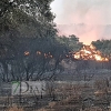 Arde el parque de San Isidro en Badajoz