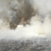 Dos incendios de pasto en Tierra de Barros