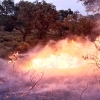 Imágenes del interior del incendio en el parque de San Isidro