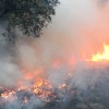 Arde el parque de San Isidro en Badajoz