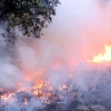 Imágenes del interior del incendio en el parque de San Isidro