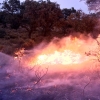 Imágenes del interior del incendio en el parque de San Isidro