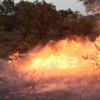 Arde el parque de San Isidro en Badajoz