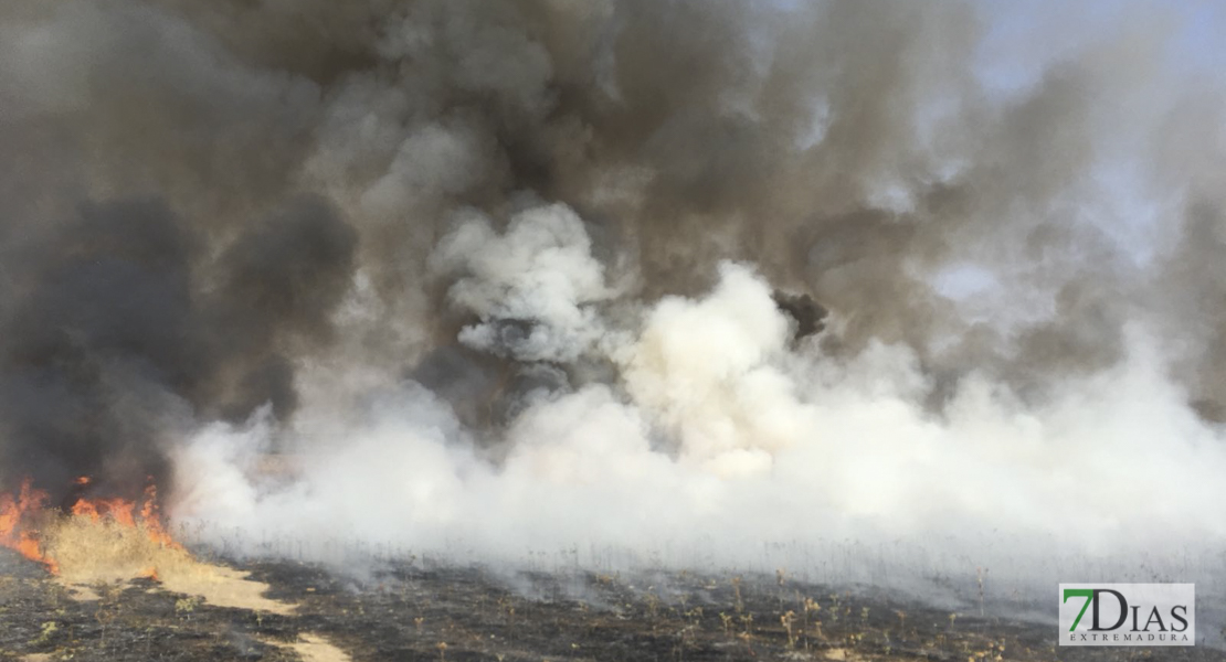 Dos incendios de pasto en Tierra de Barros